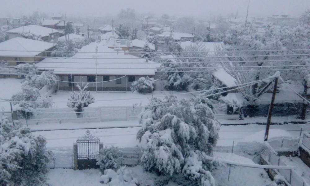 Χωριό της Λαμίας καλύφθηκε από χιόνι